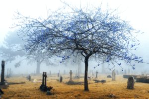 Infrared Foggy Cemetery